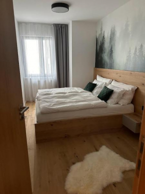 Apartmán Janské Lázně